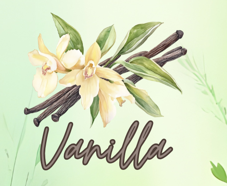 Vanilla Soy Candle 8oz tin can